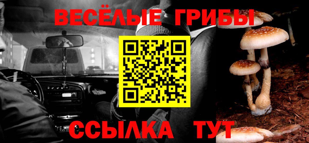 Симферополь  Псилоцибиновые грибы Cubensis  Вход с VPN 